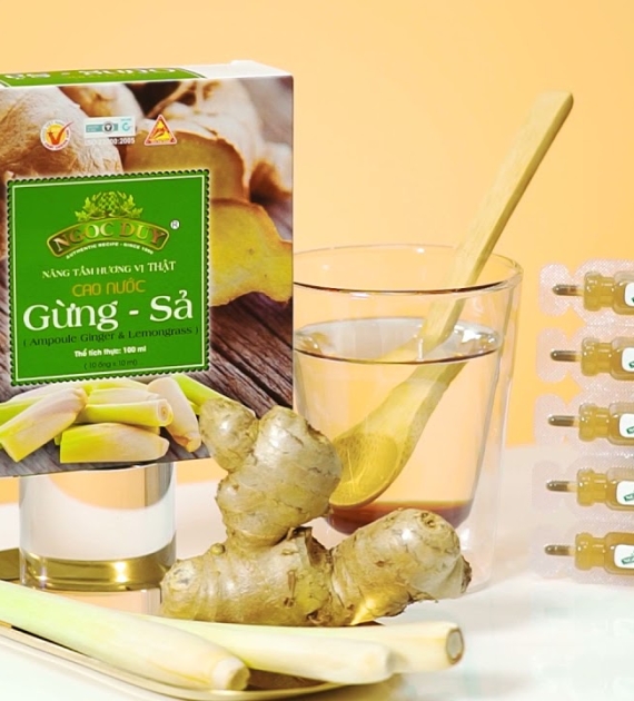 CAO NƯỚC ATISÔ GỪNG SẢ 10 ỐNG 